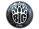 Sticker | BIG (Foil) | Katowice 2019